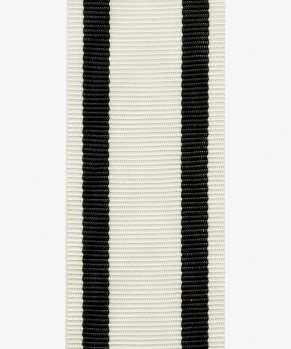 Prussia, Iron Cross for non-combatants, Johanniterkreuz, Red Eagle Order medal (52)